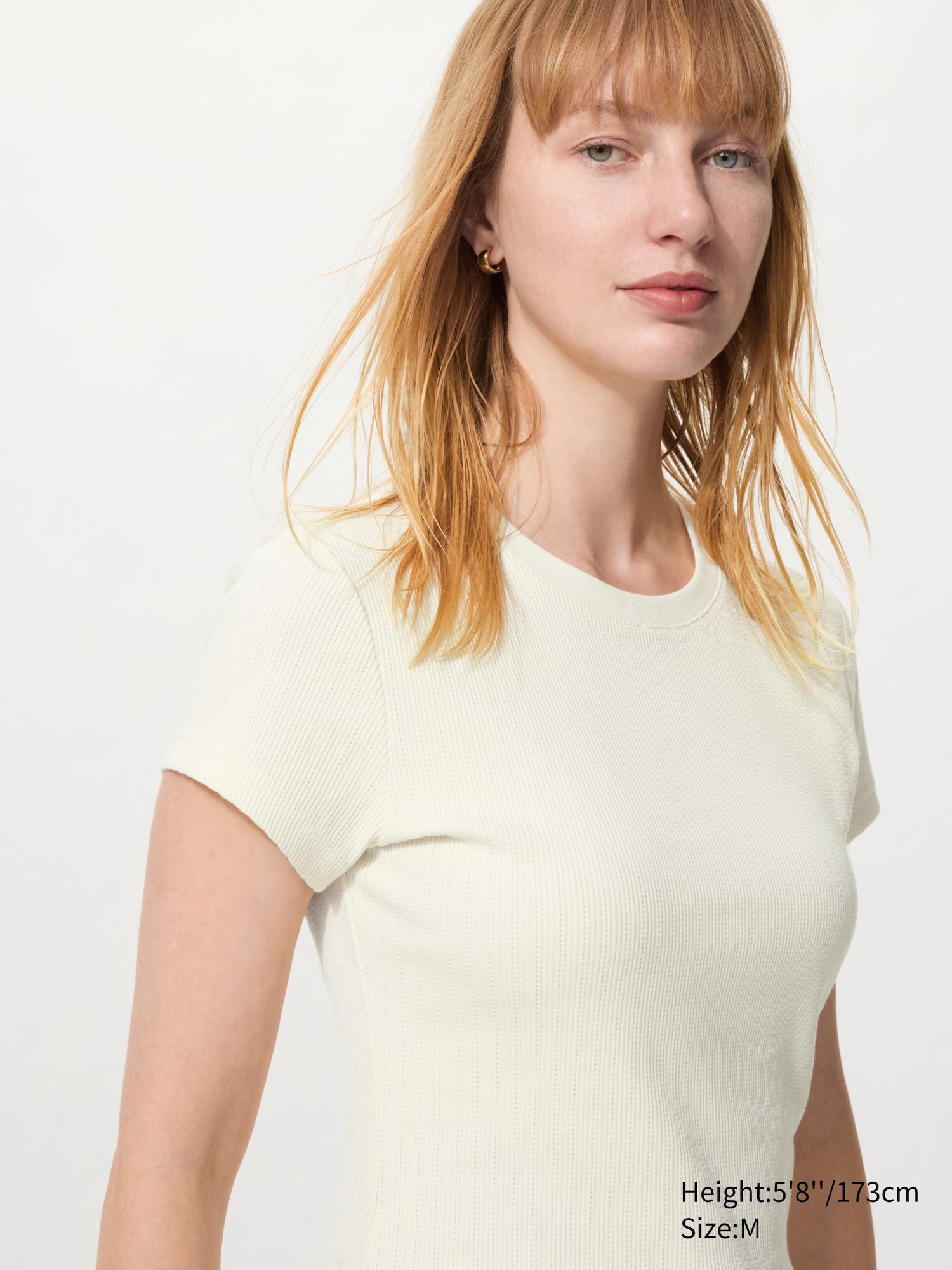 Rib Mini T