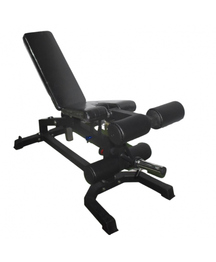 Aspire Strength WB311 FID Multi-Purpose Bench